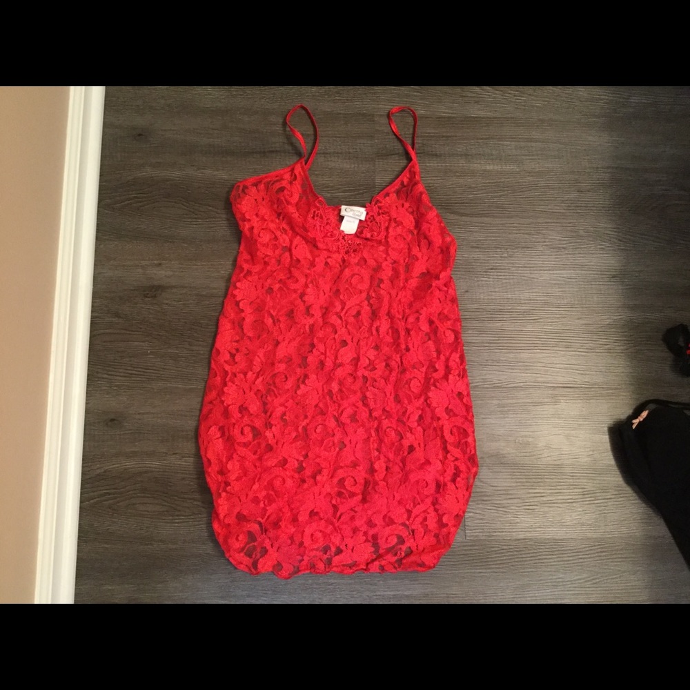 Red teddy